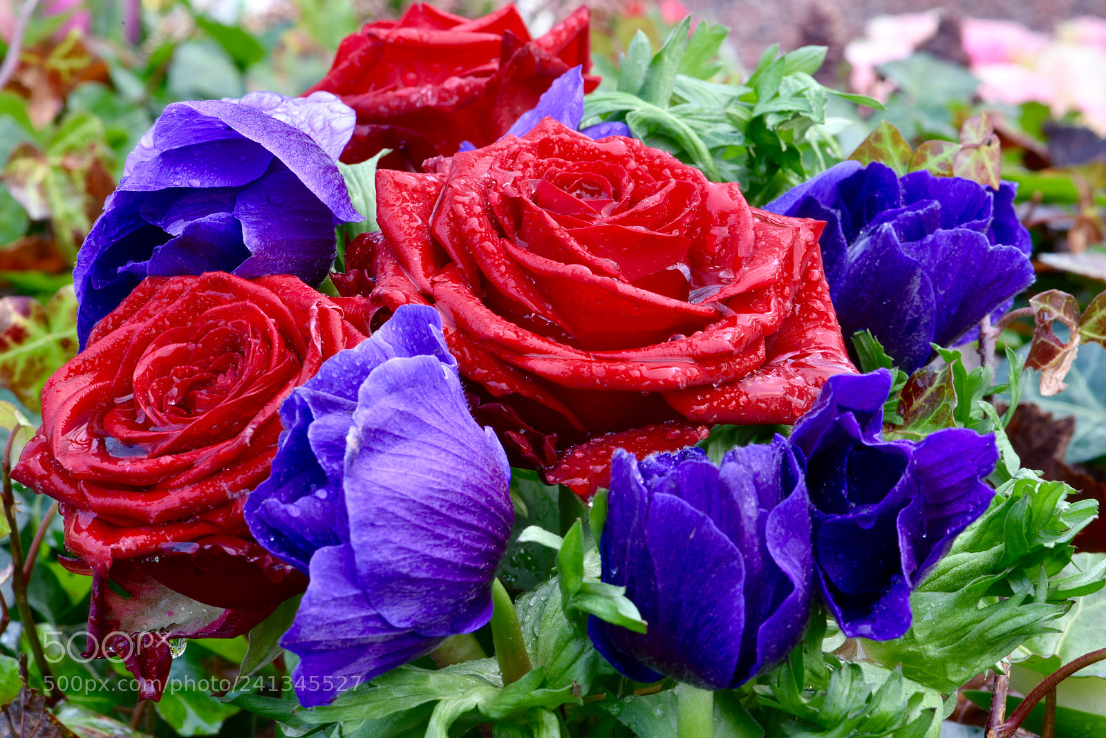 Nikon D810 sample photo. Drops f 66! photography