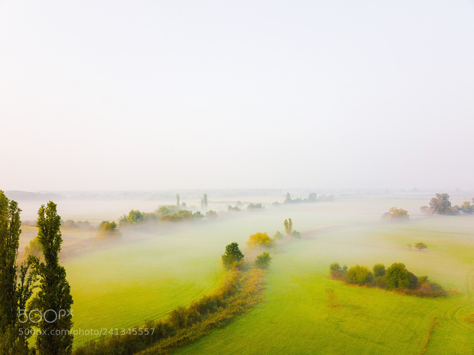 DJI FC220 sample photo. Foggy morning in germany photography