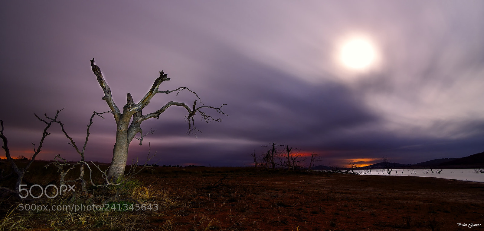 Nikon D800 sample photo. Nights moonlight photography