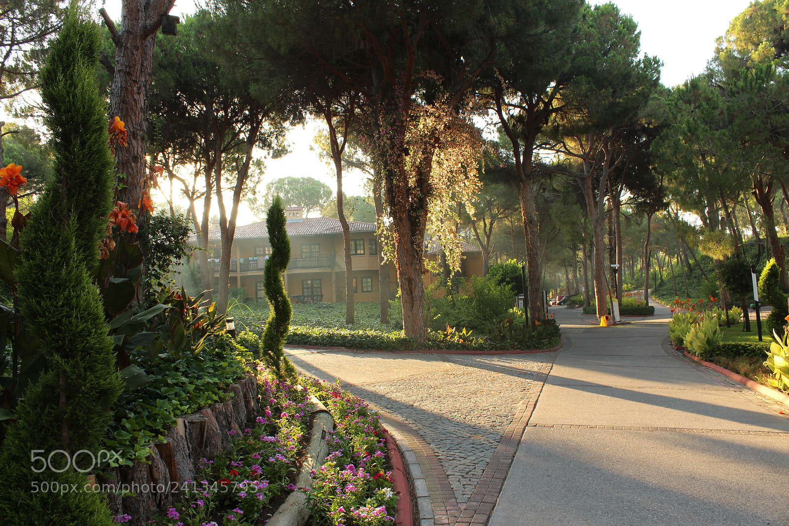 Canon EF-S 18-55mm F3.5-5.6 III sample photo. Sun and shades photography