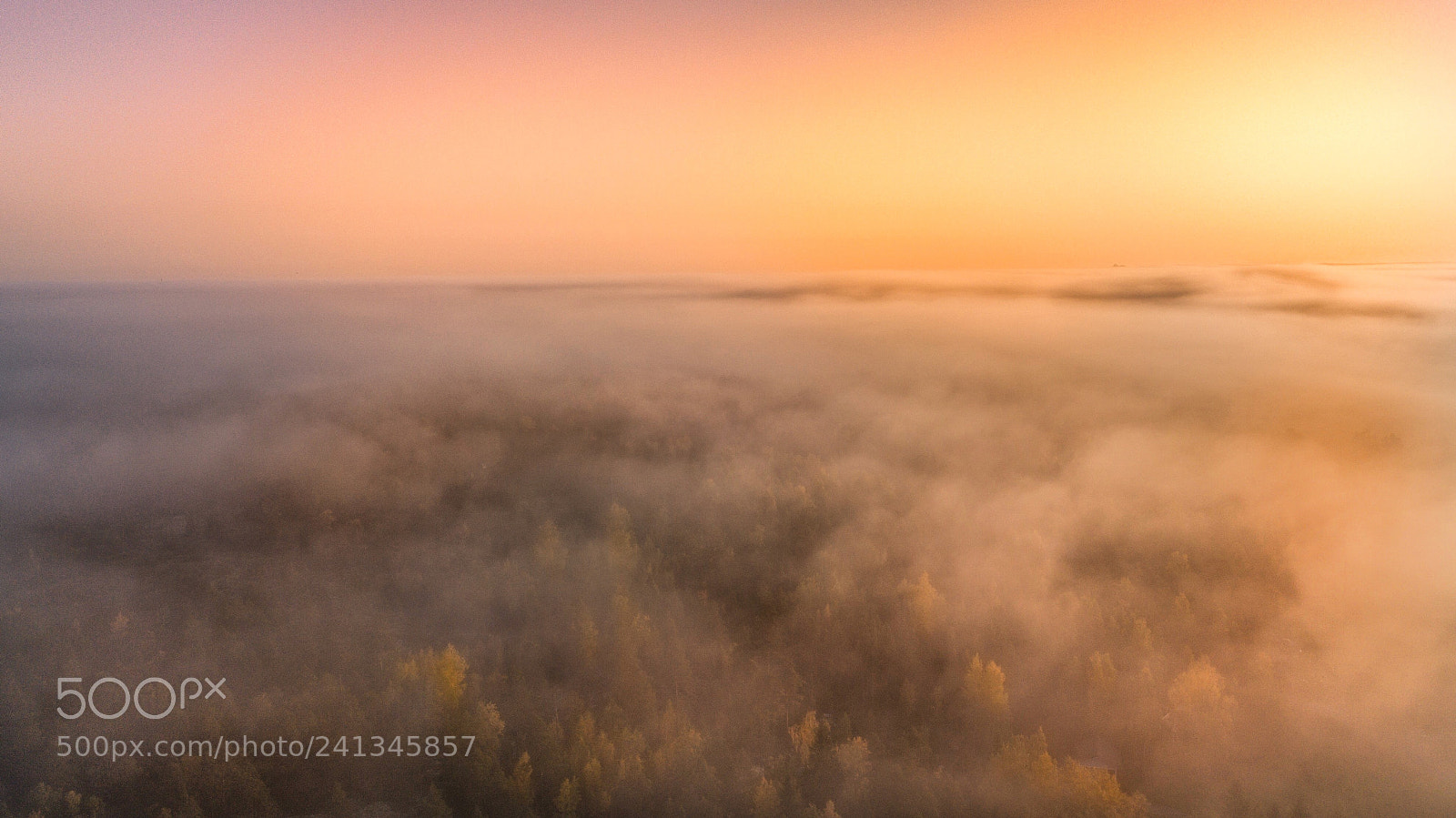 DJI FC220 sample photo. Foggy sunrise. photography