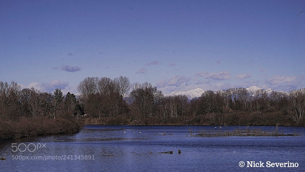 Sony a7R sample photo. Peaceful photography