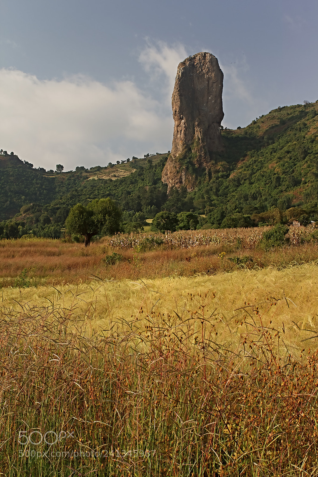 Canon EOS 60D sample photo. God‘s finger photography