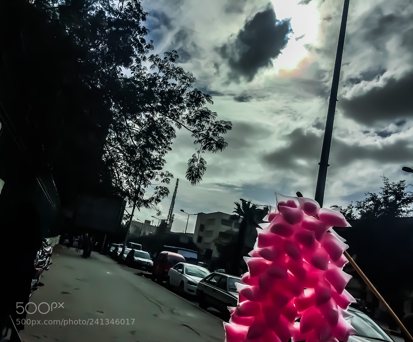 Apple iPhone 6 Plus sample photo. Untitled photography