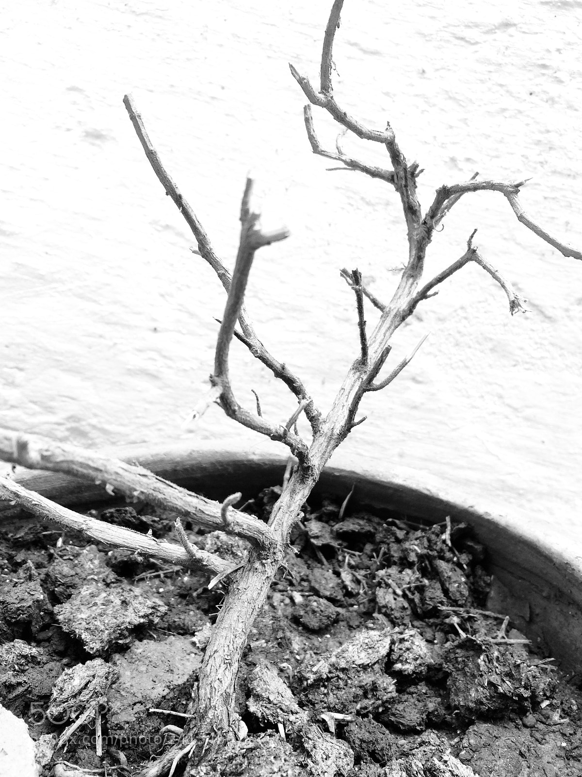 Apple iPhone 5s sample photo. Untitled photography