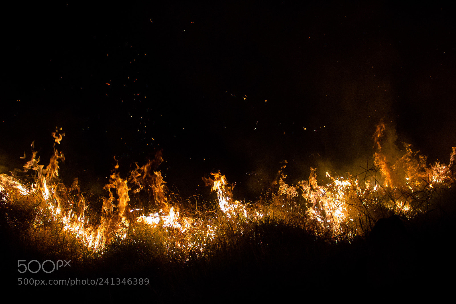 Canon EOS 700D (EOS Rebel T5i / EOS Kiss X7i) sample photo. Fuego photography