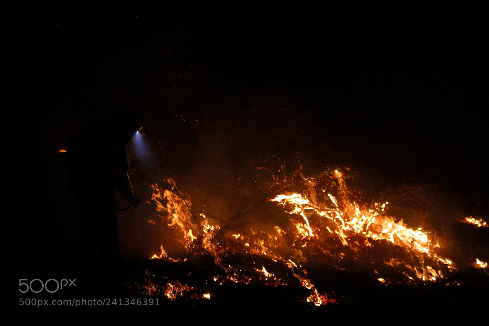 Canon EOS 700D (EOS Rebel T5i / EOS Kiss X7i) sample photo. Fuego photography