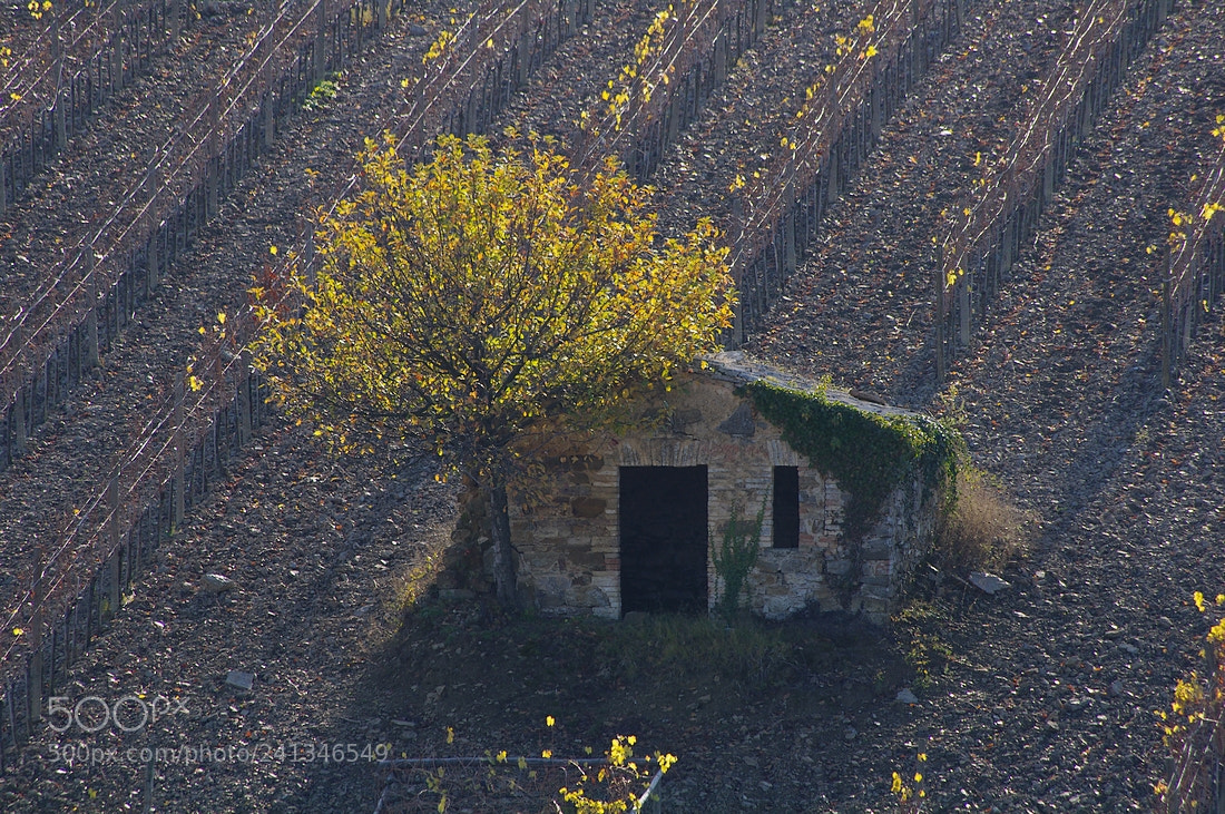 Pentax K-7 sample photo. Old house photography