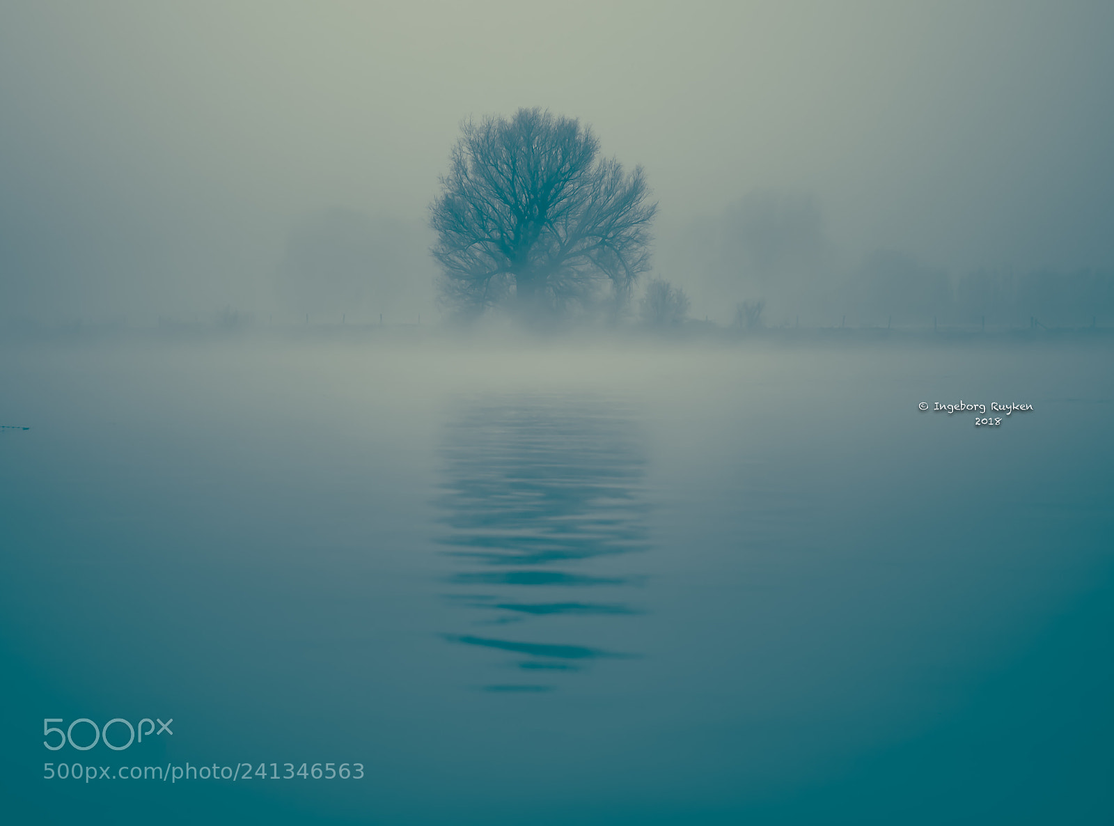 Nikon D800 sample photo. Mist-kissed river photography