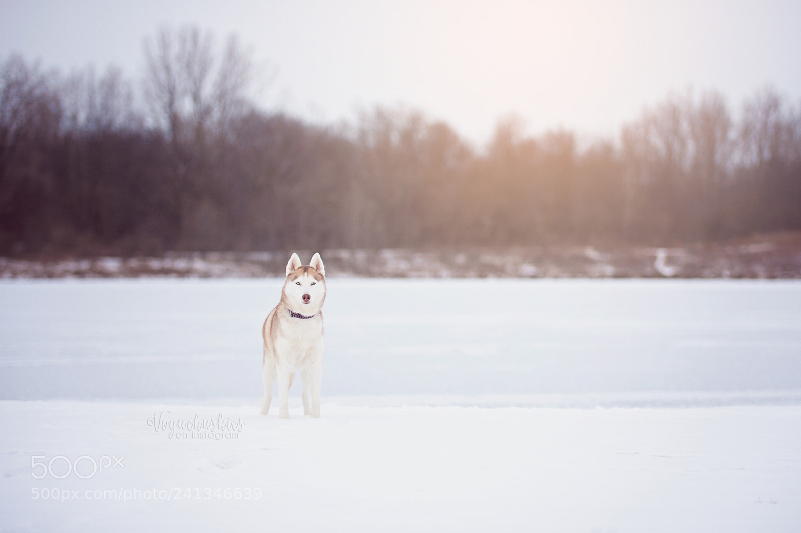 Nikon D7200 sample photo. Freezing winter hikes produce photography