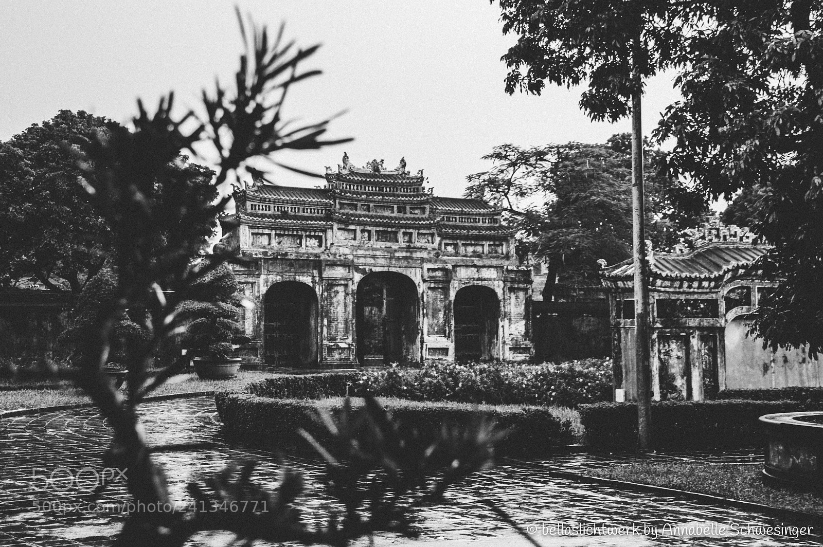 Pentax K-3 sample photo. A framed view photography