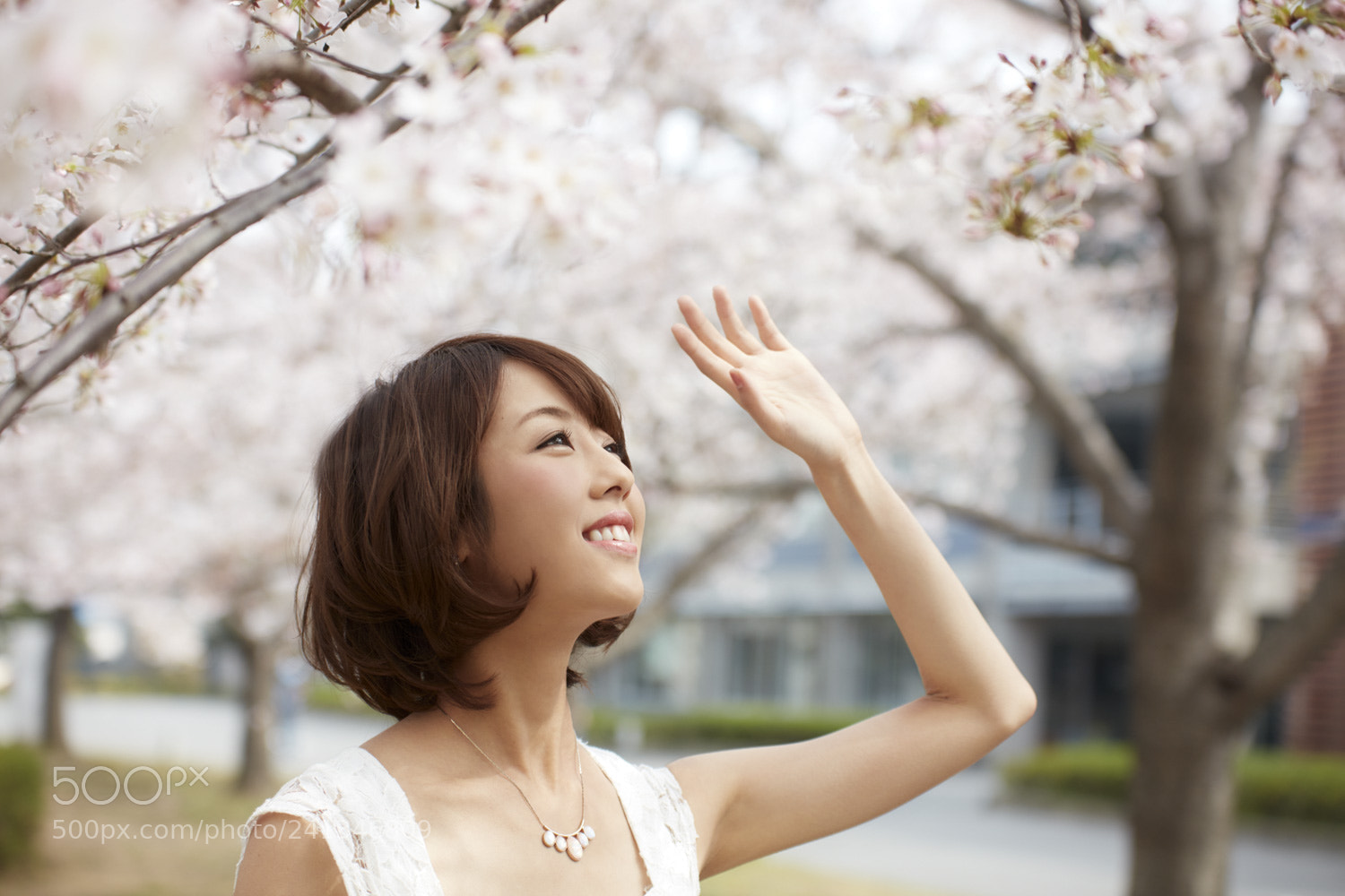Canon EOS 5DS sample photo. Shima photography