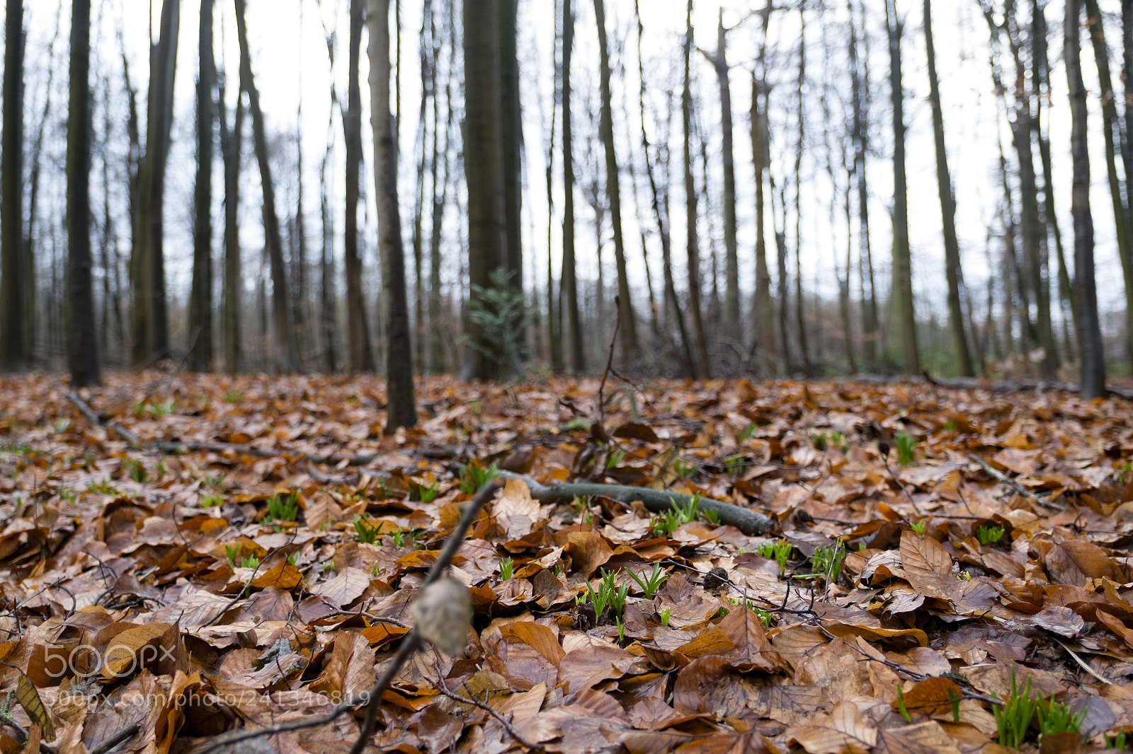 Fujifilm X-Pro1 sample photo. Lostintime photography