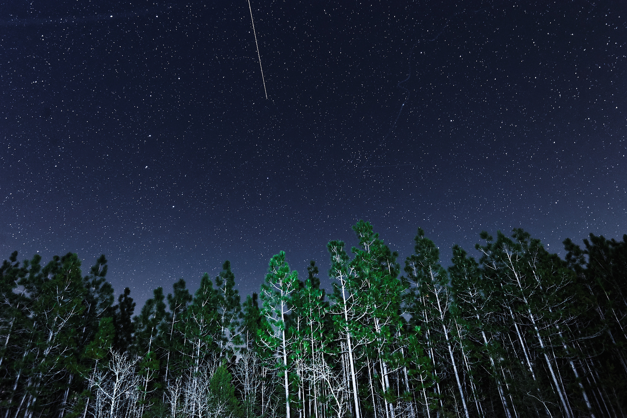 Nikon AF-S Nikkor 16-35mm F4G ED VR sample photo. Night woods photography