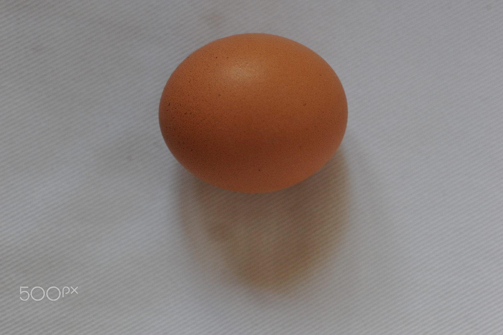 Nikon D700 + Nikon AF Micro-Nikkor 60mm F2.8D sample photo. Shadow of the egg.. photography