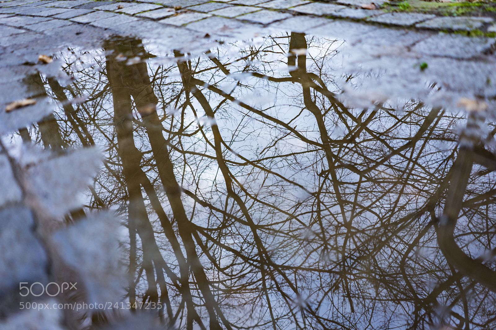 Sony a7 II sample photo. Puddle photography