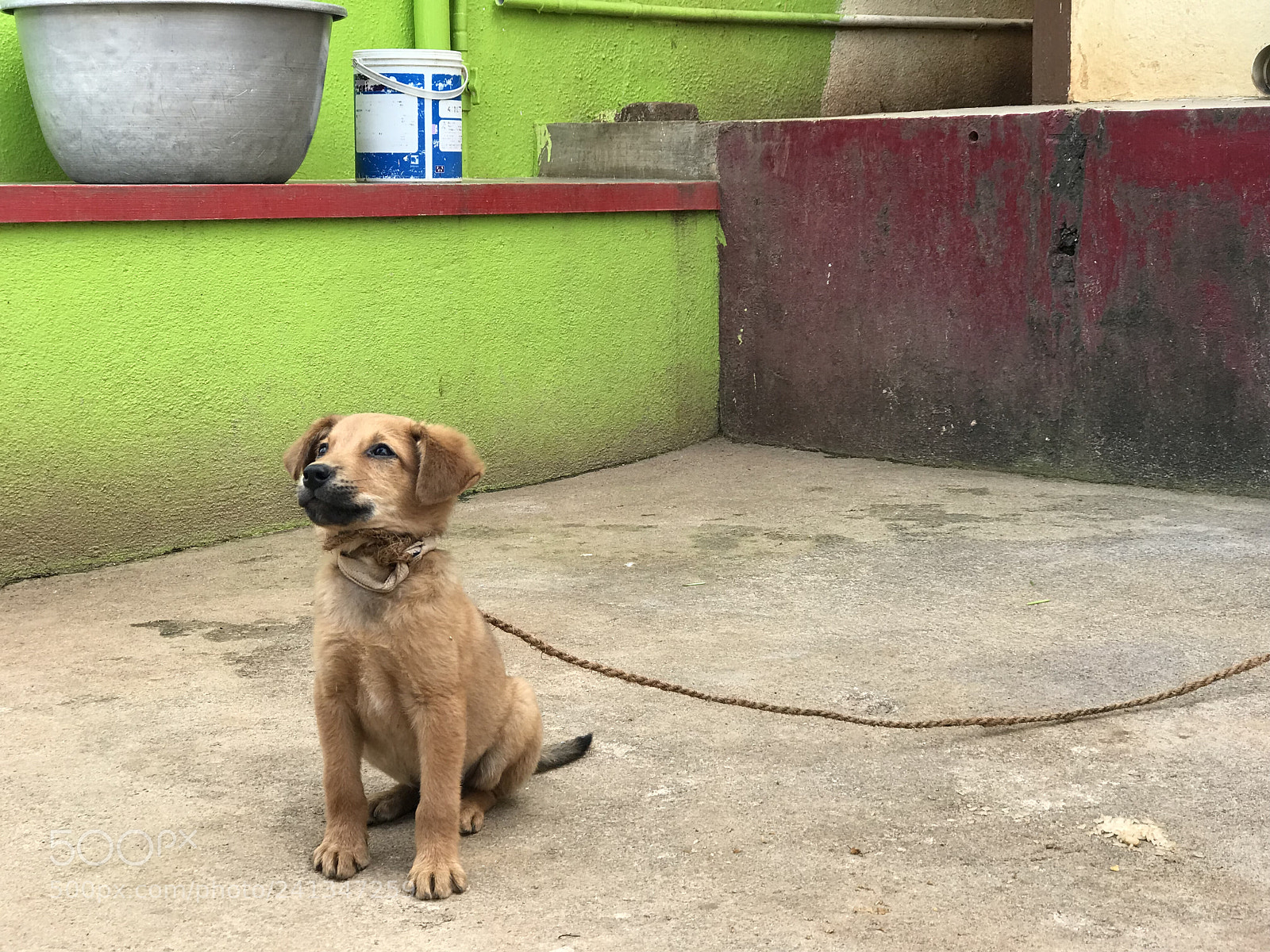 Apple iPhone 7 Plus sample photo. Someone i ran into photography