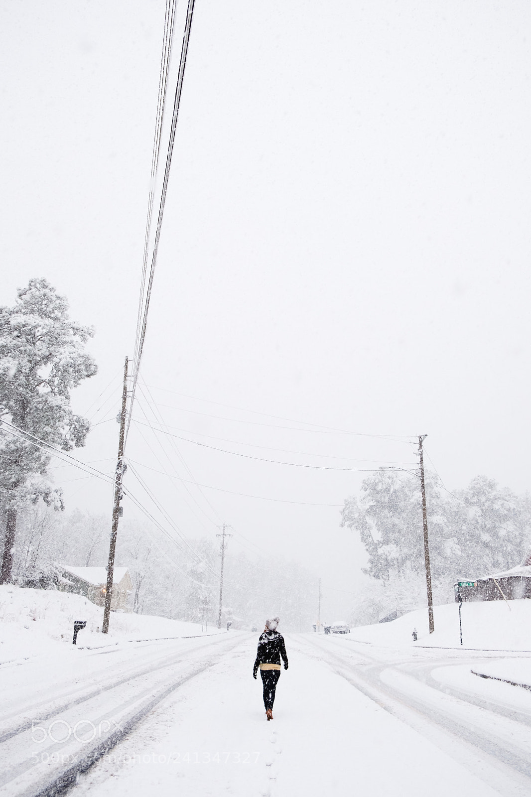 Fujifilm X-T2 sample photo. Snowy walks photography