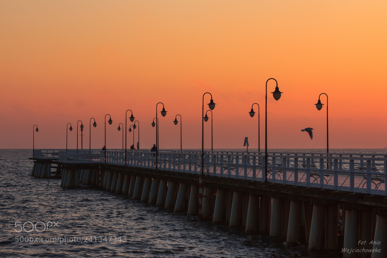 Canon EOS 600D (Rebel EOS T3i / EOS Kiss X5) sample photo. Pier in gdynia photography