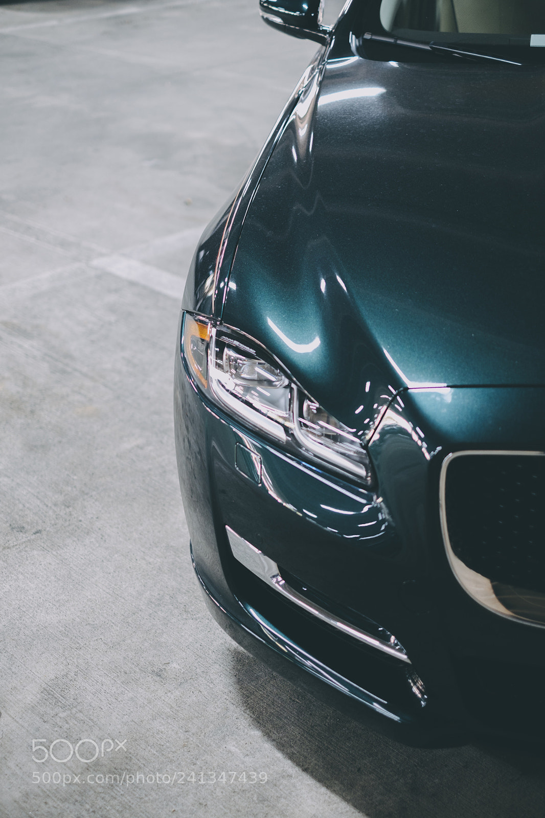 Fujifilm X-T2 sample photo. Jaguar details photography