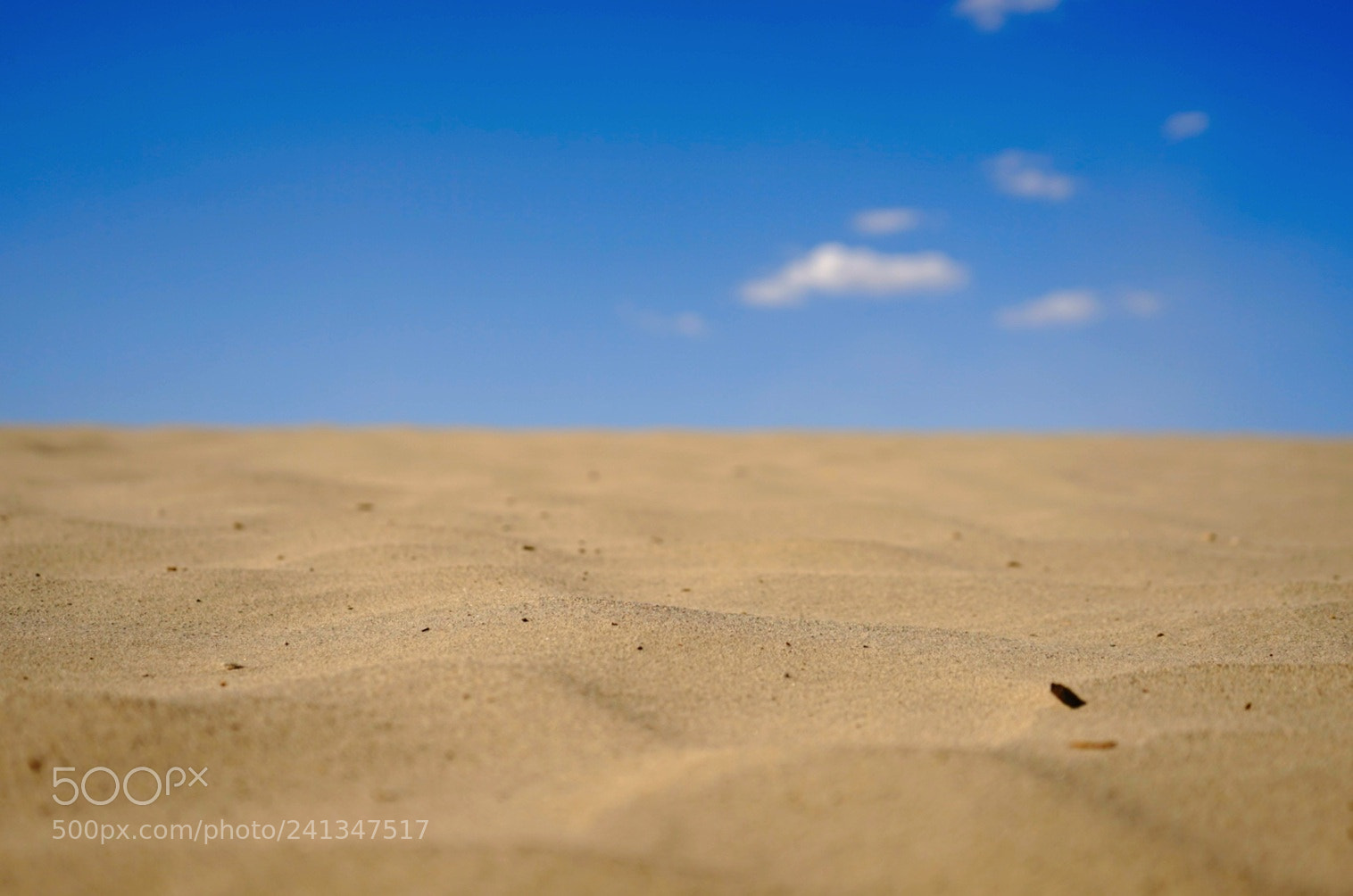 Sony a7 sample photo. Wallpaper photography