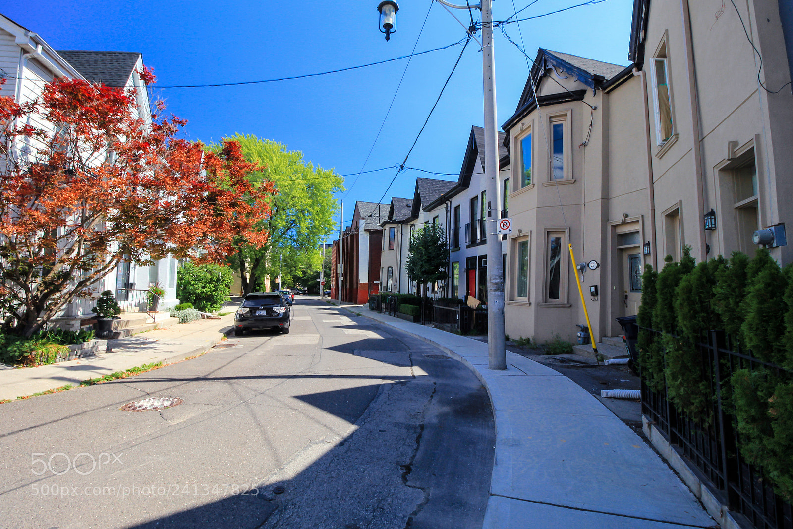 Canon EOS 60D sample photo. Toronto, ontario, canada photography