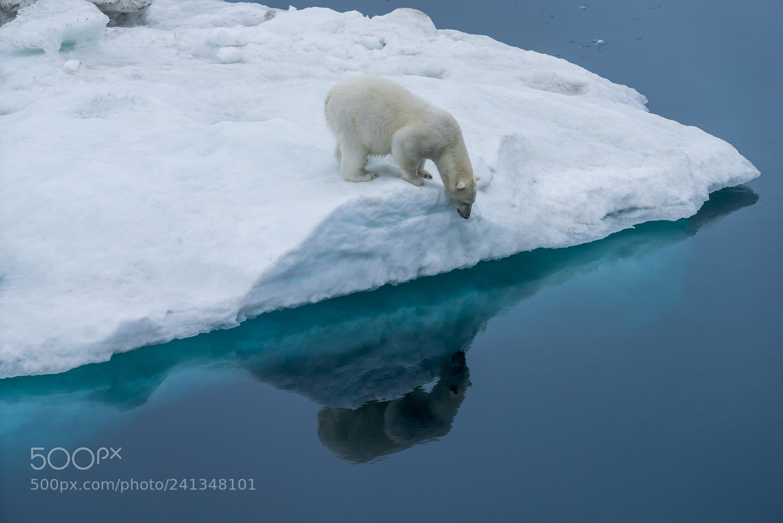 Sony a7R sample photo. Wrangel island photography