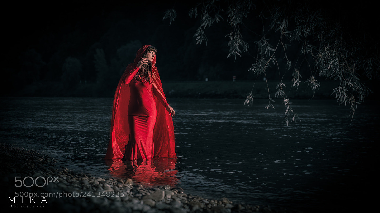 Nikon D800 sample photo. Untitled photography