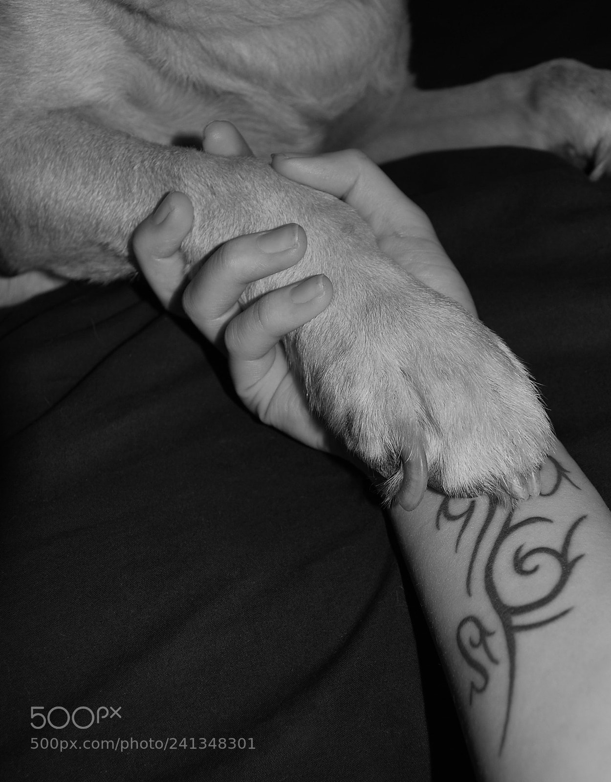 Nikon D60 sample photo. Eternit spalanca le tue photography