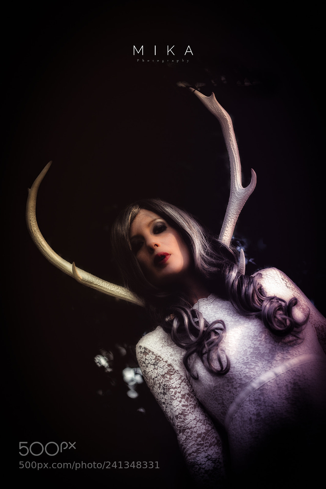 Nikon D800 sample photo. Untitled photography