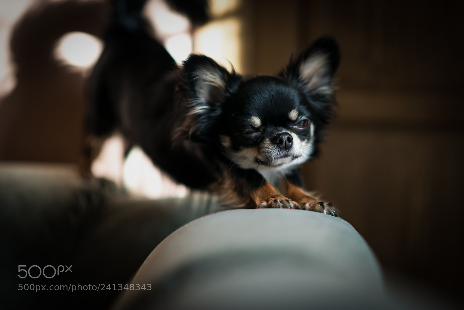 Nikon D800 sample photo. Callisto ? photography