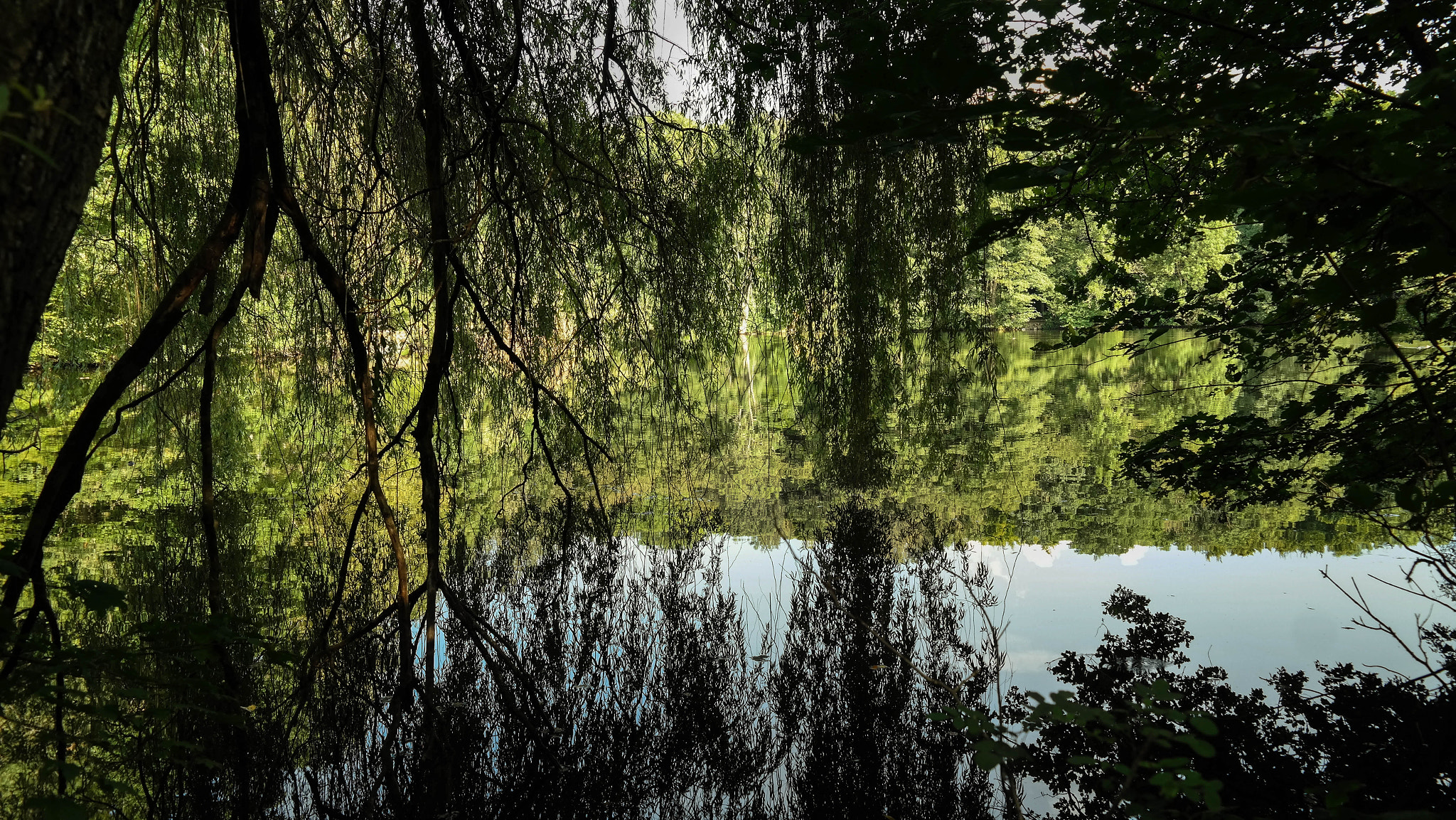 Samsung NX300M sample photo. Trees mirroring in the lake photography
