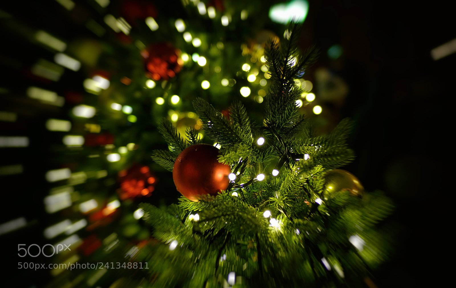 Fujifilm X-T20 sample photo. Dscf photography