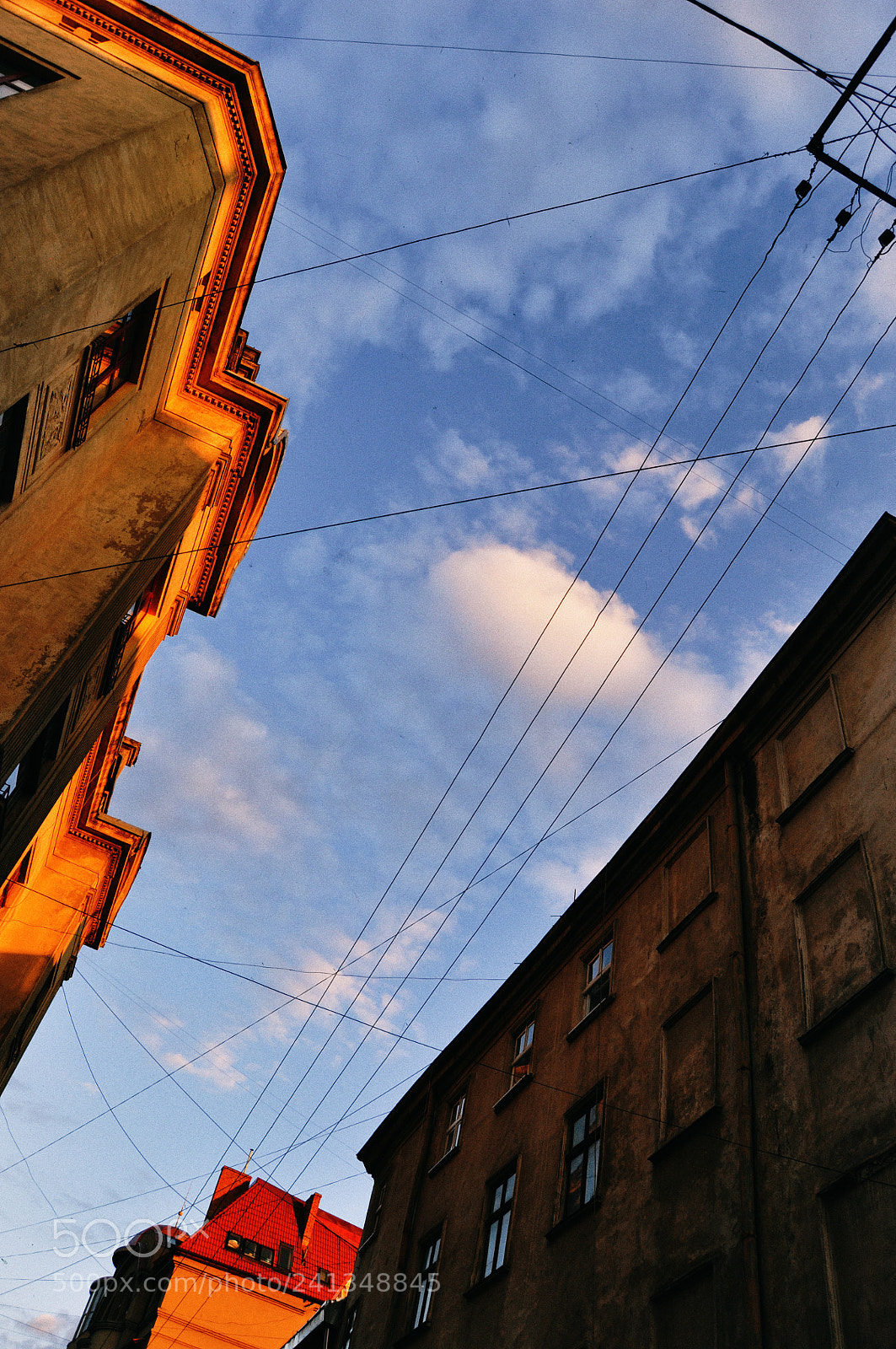 Nikon D90 sample photo. Catch the sun photography
