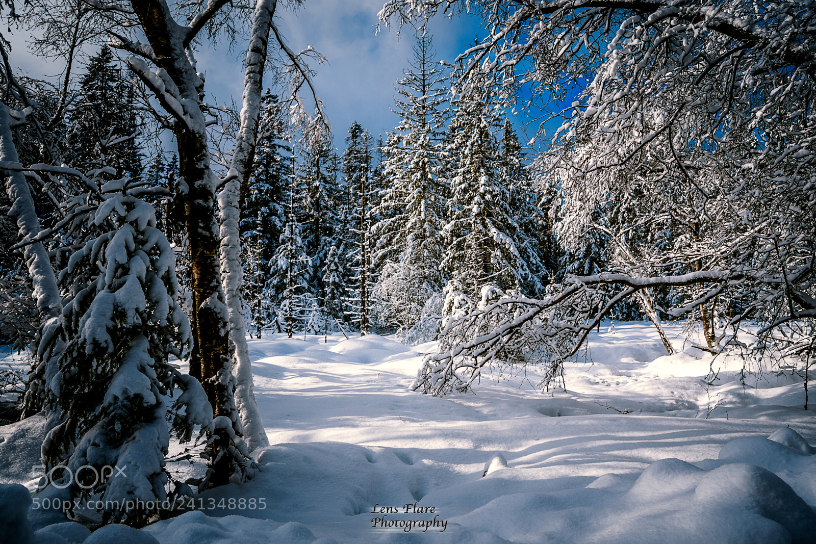 Nikon D7200 sample photo. Sunny winter photography
