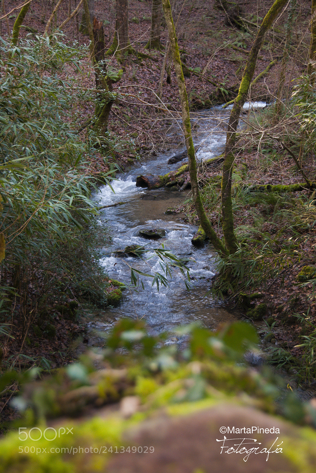 Nikon D60 sample photo. Parque natural se orio photography
