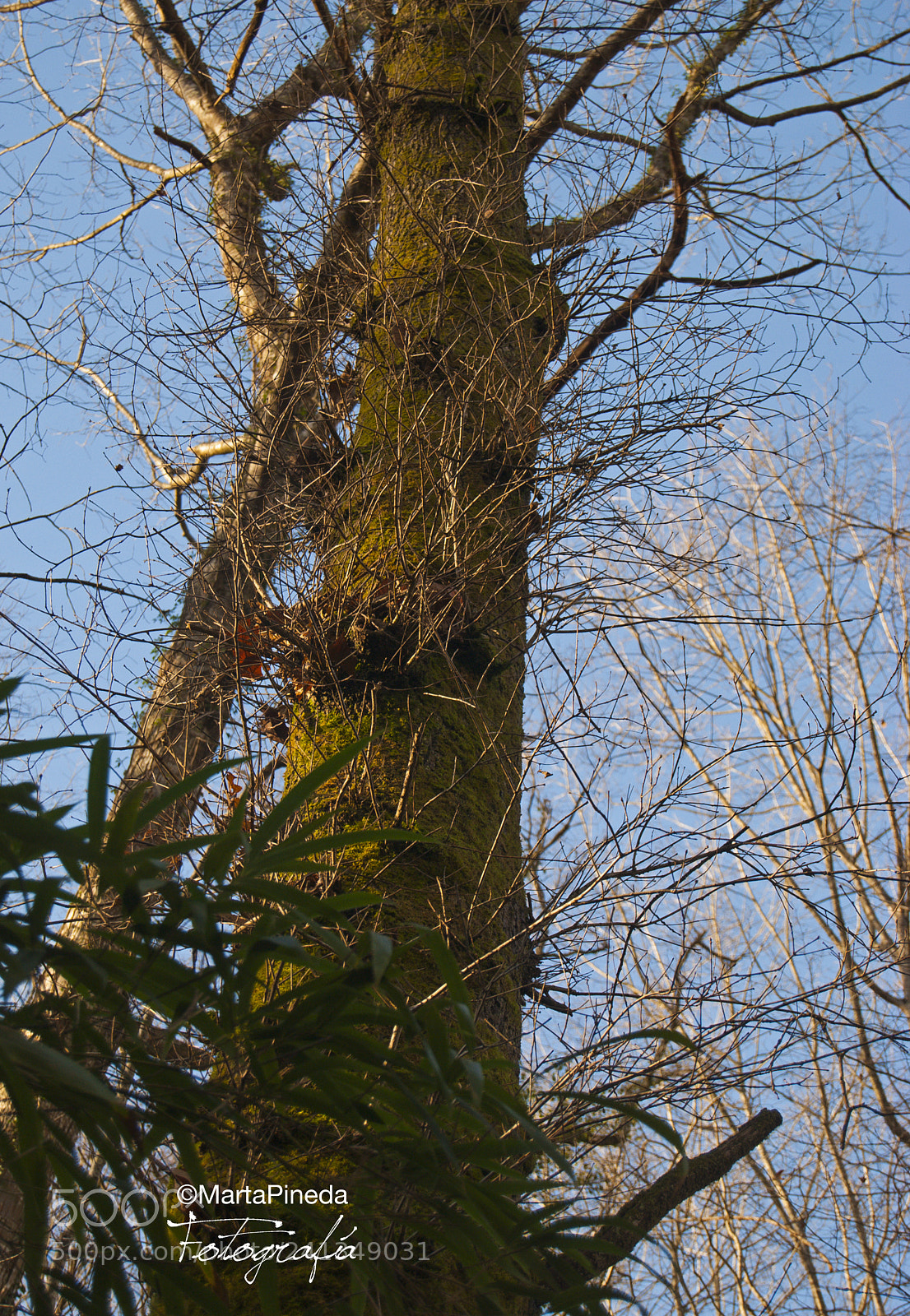 Nikon D60 sample photo. Parque natural se orio photography