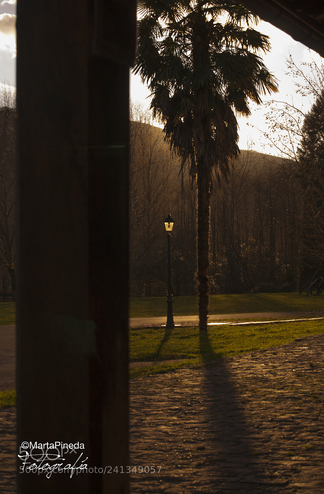 Nikon D60 sample photo. Parque natural se orio photography