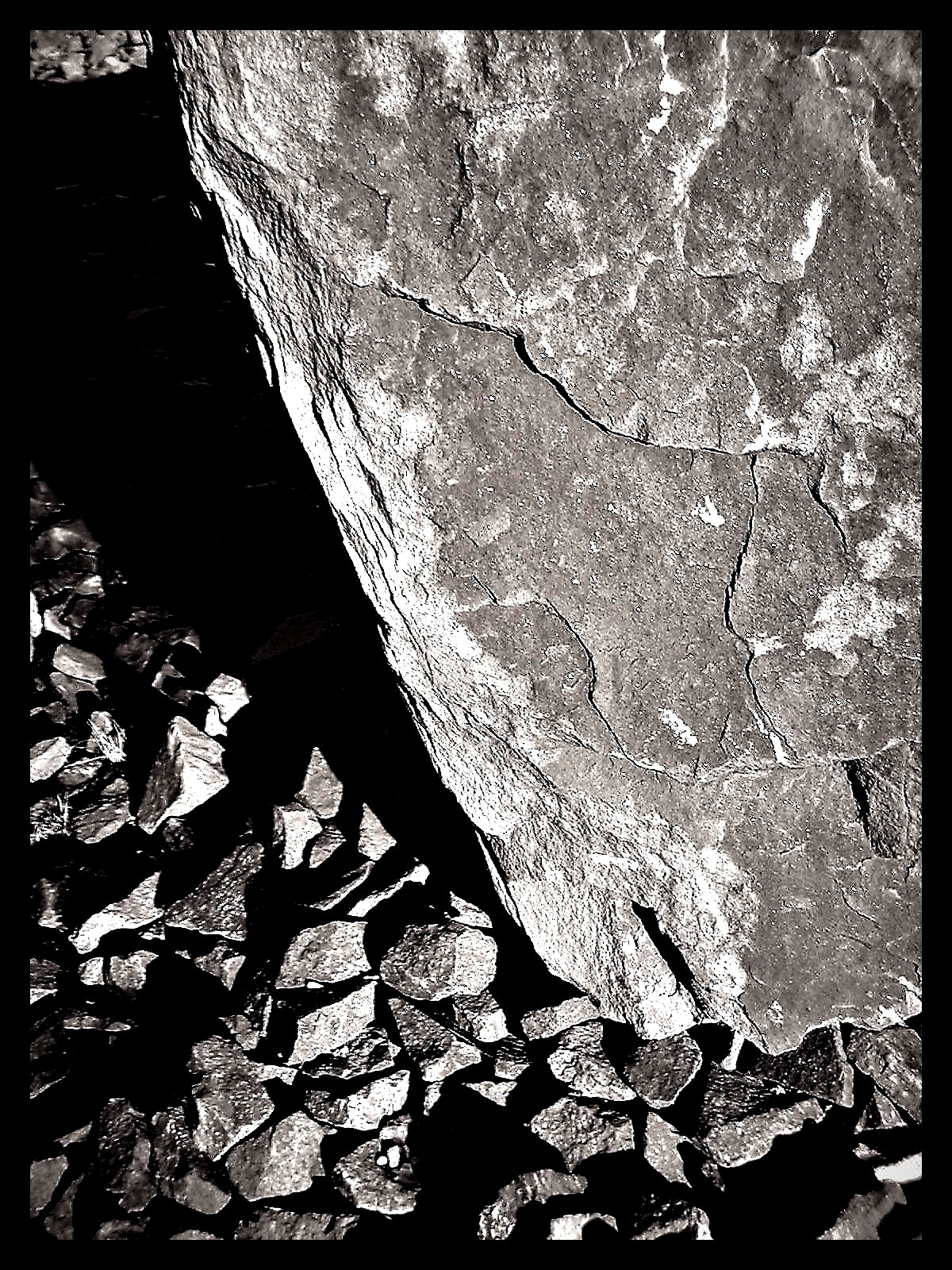 KONICA MINOLTA DiMAGE X sample photo. Giant photography