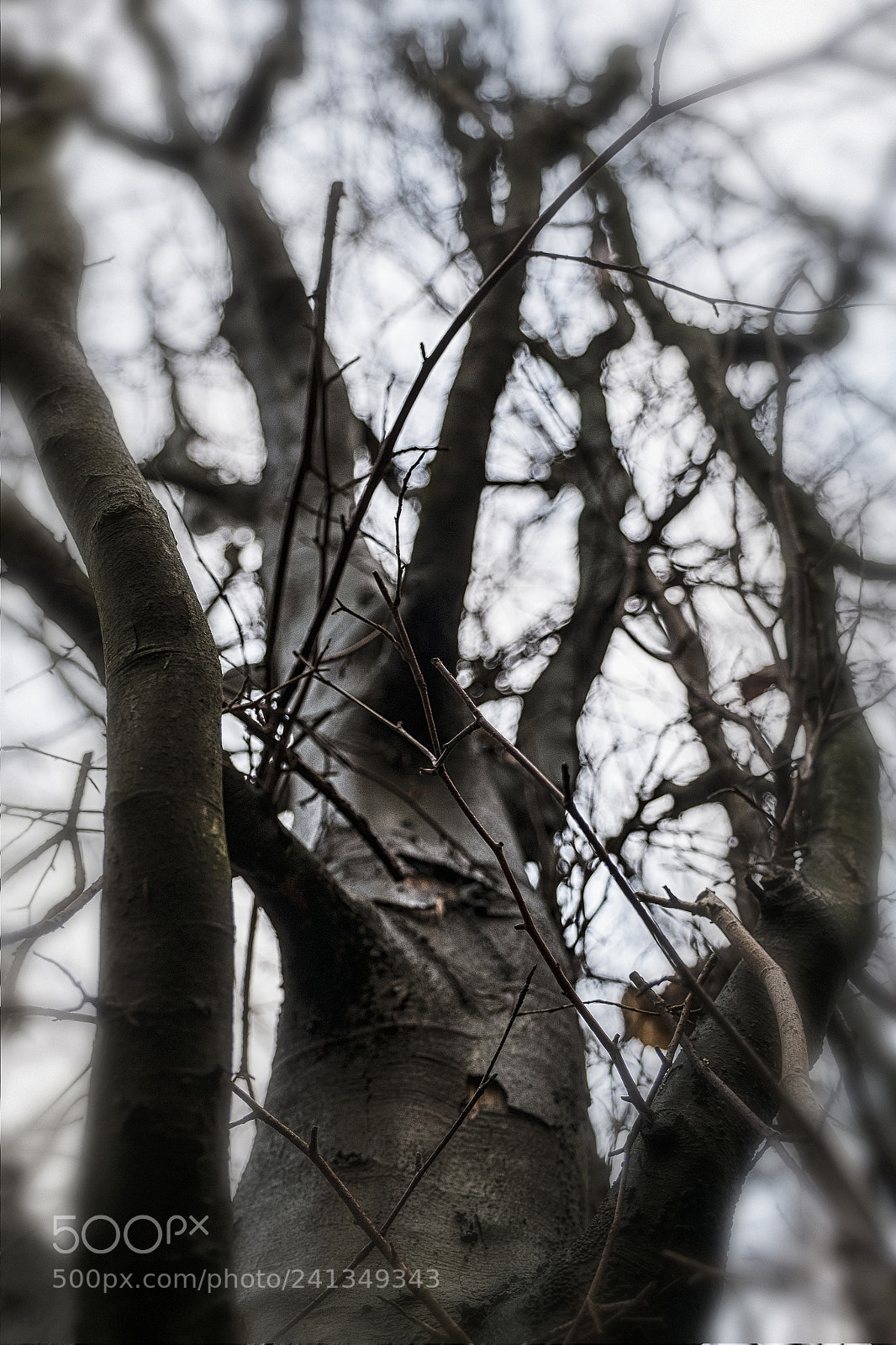 Fujifilm X-Pro1 sample photo. Focus photography