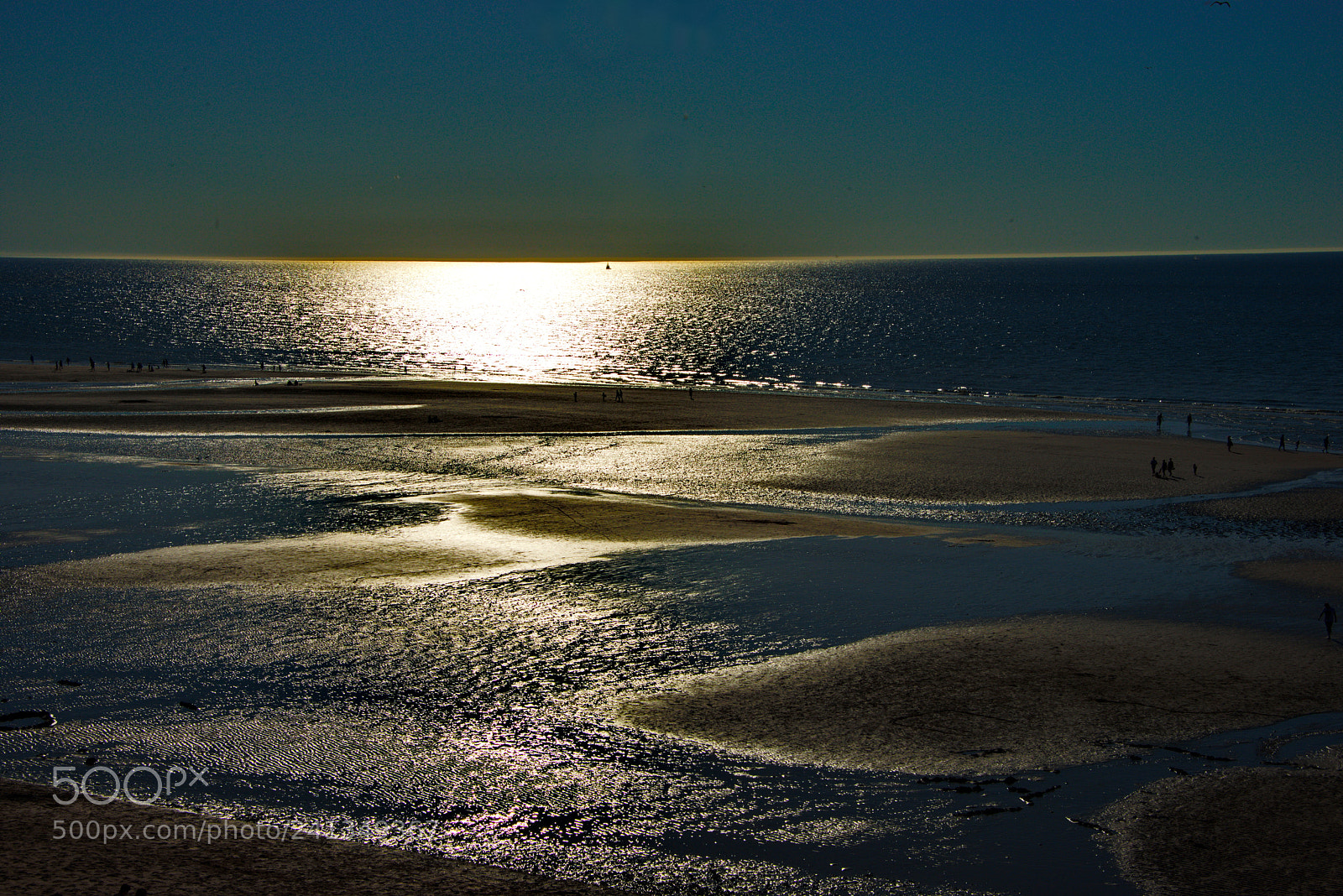 Nikon D800 sample photo. Golden backlight at dusk photography