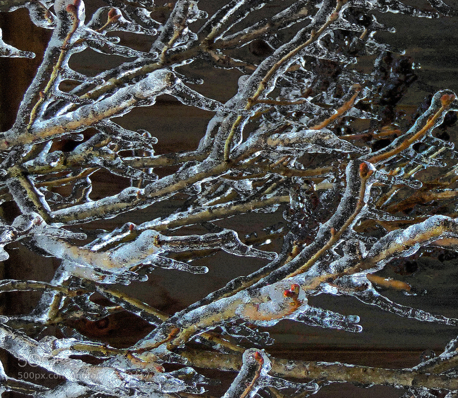 Nikon Coolpix P520 sample photo. Ice enhansing photography