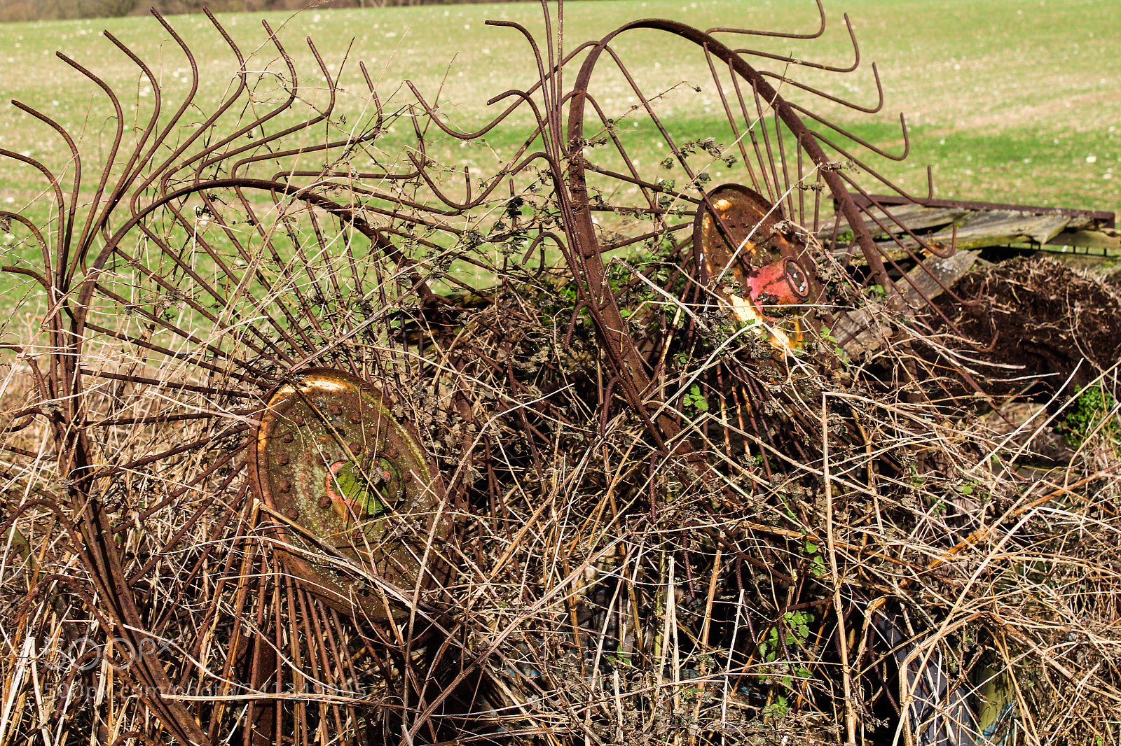 Canon EOS 1300D (EOS Rebel T6 / EOS Kiss X80) sample photo. Ol’ rusty wheel photography