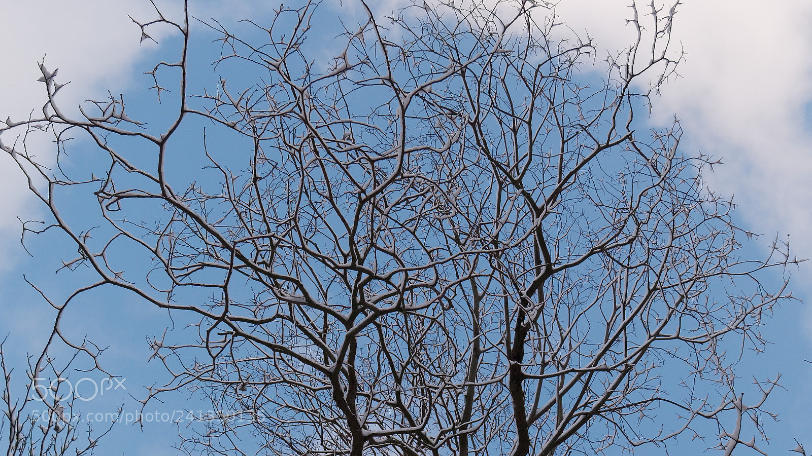 Panasonic Lumix DMC-GX85 (Lumix DMC-GX80 / Lumix DMC-GX7 Mark II) sample photo. Winter 2 photography