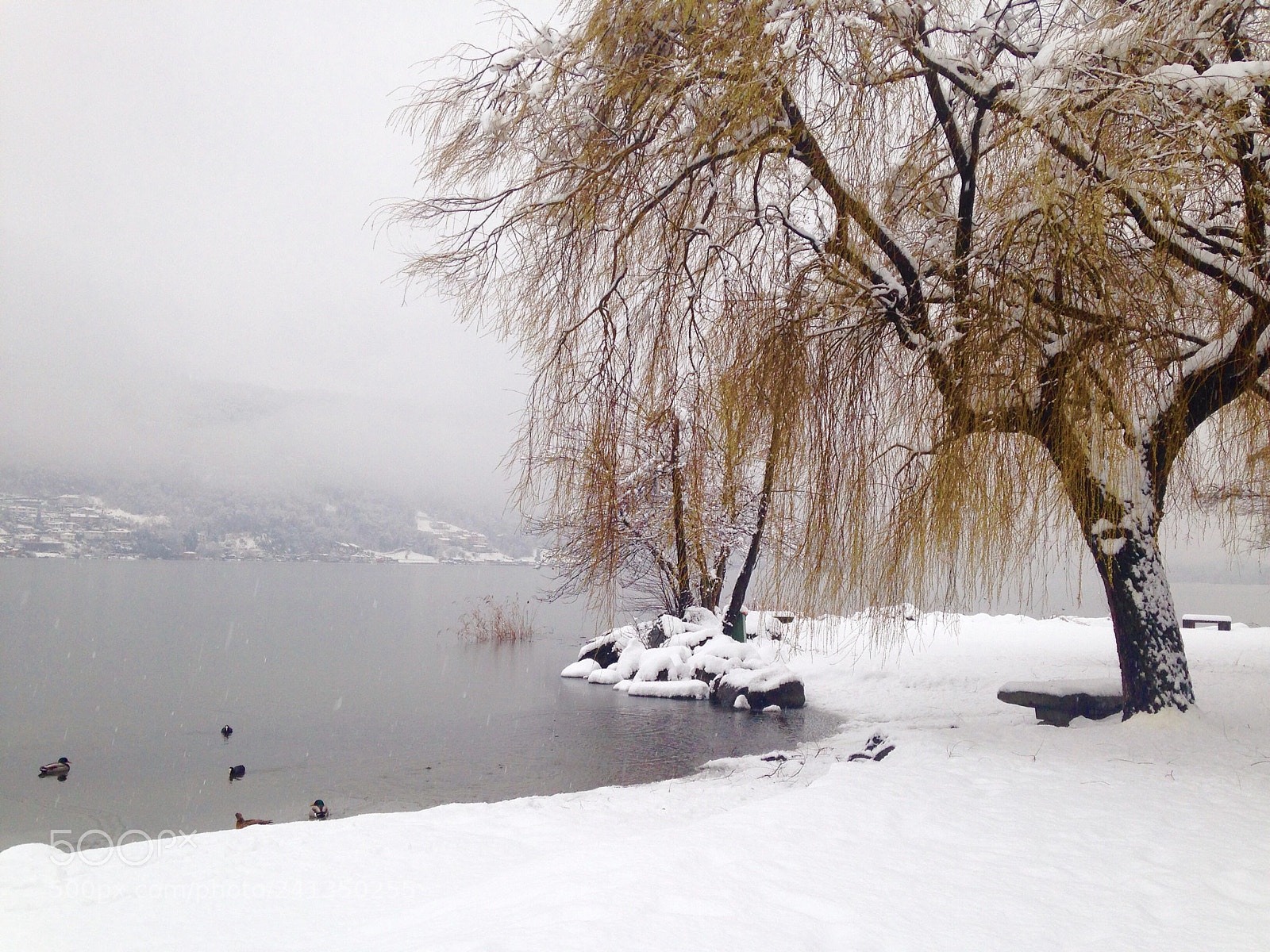 Apple iPhone 5c sample photo. Atmosfere invernali photography