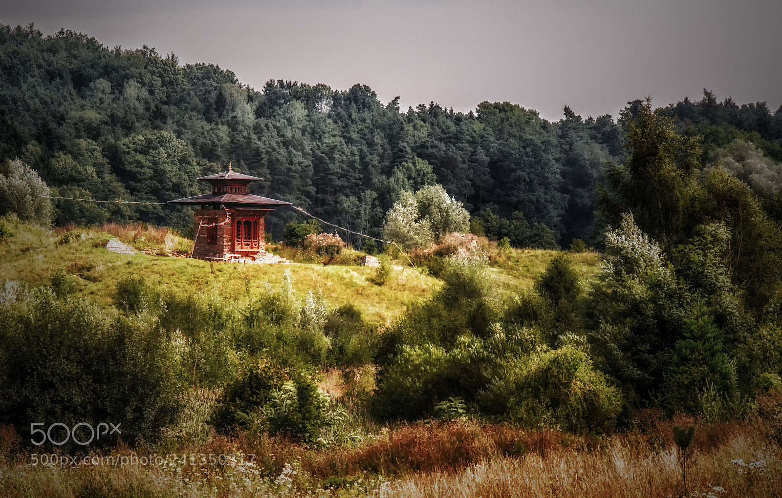 Nikon D7100 sample photo. Shangri-la photography