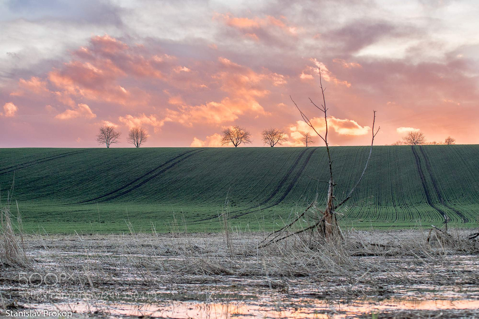 Sony a7 II sample photo. Last looking at sunset photography