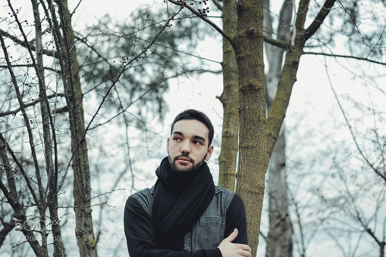Nikon D700 sample photo. Seasons photography