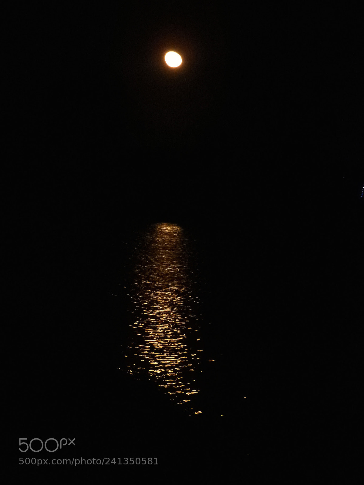 Nikon Coolpix B700 sample photo. Moon and reflection photography