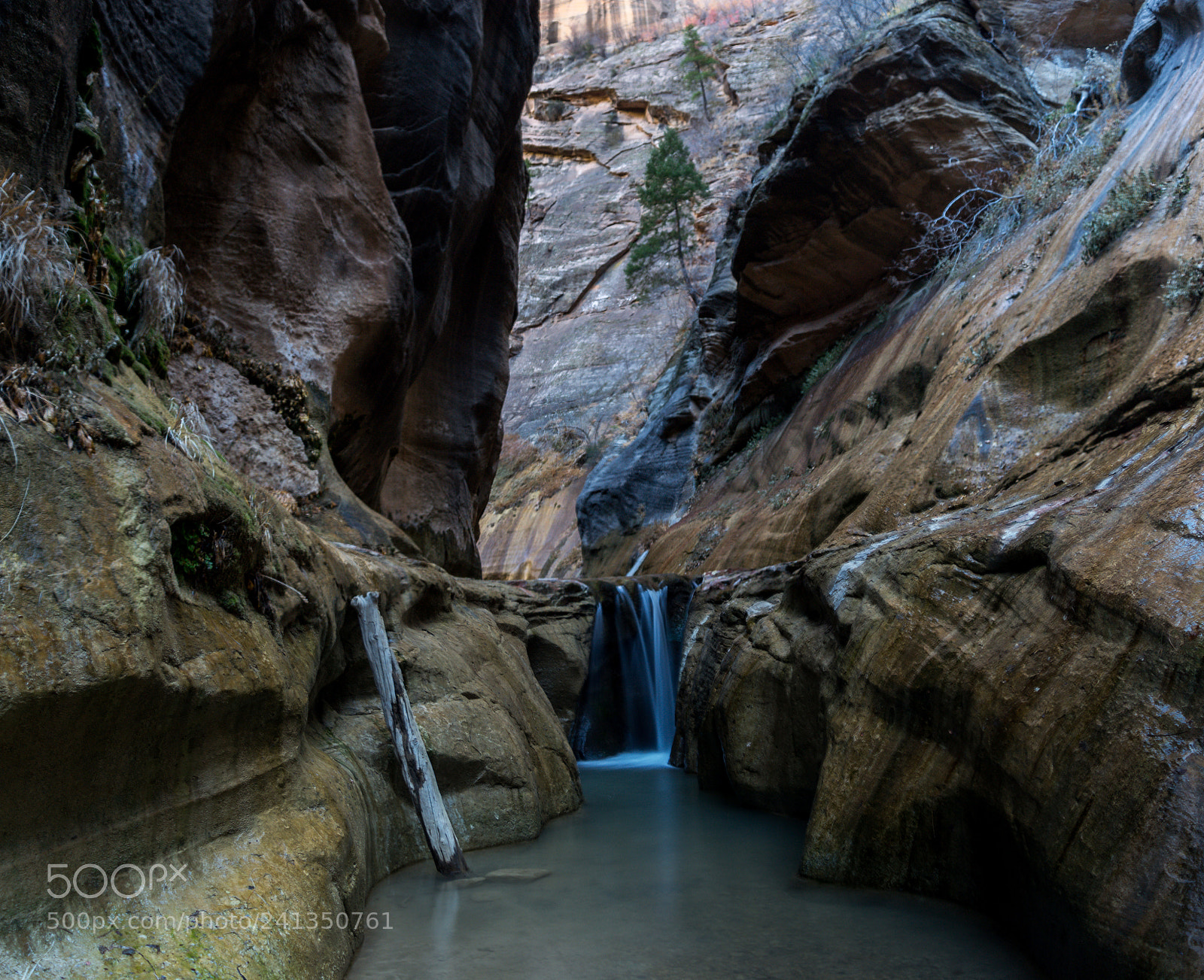Nikon D3100 sample photo. Falls in orderville canyon photography
